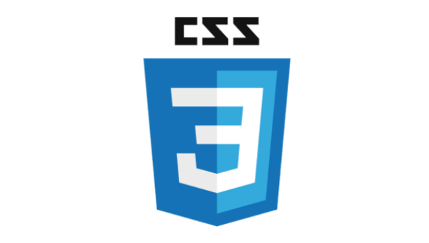 CSS Logo