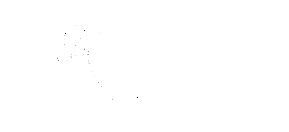 Flask Logo